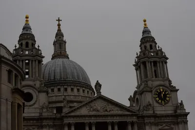 DSC_5841 (Large).JPG